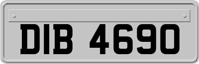 DIB4690
