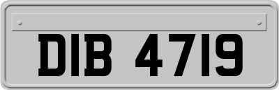 DIB4719