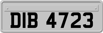 DIB4723