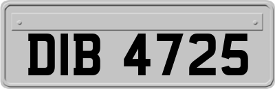 DIB4725