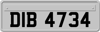DIB4734