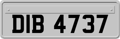 DIB4737