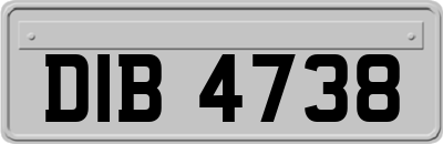 DIB4738