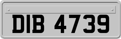 DIB4739