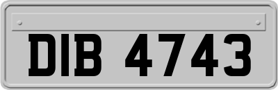 DIB4743