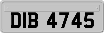 DIB4745