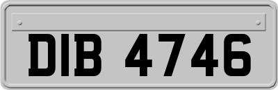 DIB4746