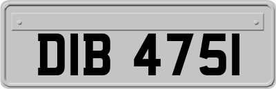DIB4751