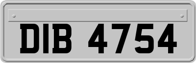 DIB4754