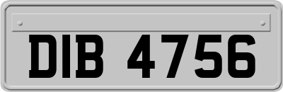 DIB4756
