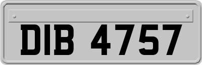 DIB4757