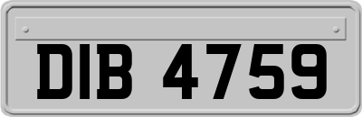 DIB4759
