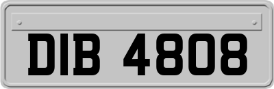 DIB4808