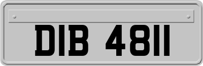 DIB4811