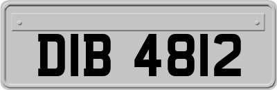 DIB4812