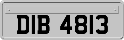 DIB4813