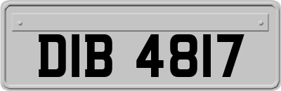DIB4817