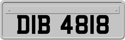 DIB4818