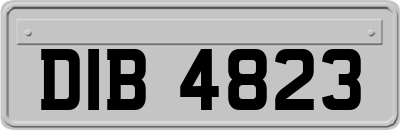 DIB4823