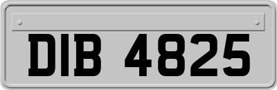 DIB4825