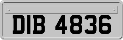 DIB4836