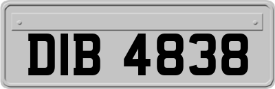 DIB4838