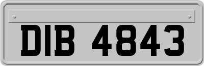 DIB4843