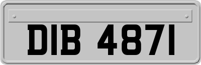 DIB4871