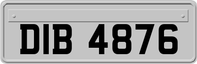 DIB4876
