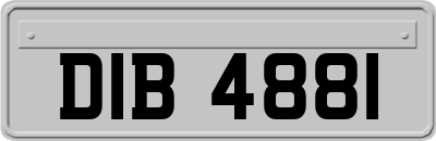 DIB4881