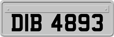 DIB4893