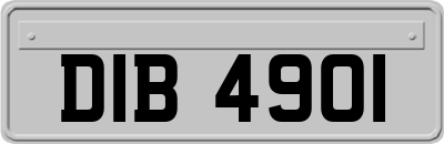 DIB4901