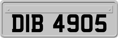 DIB4905