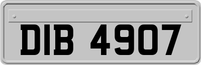DIB4907