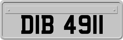 DIB4911
