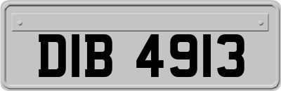DIB4913