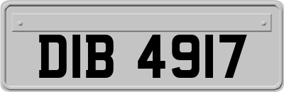 DIB4917