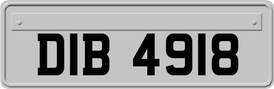 DIB4918