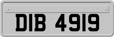 DIB4919