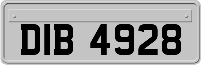 DIB4928