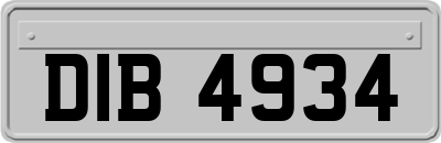 DIB4934