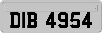 DIB4954