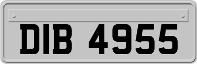 DIB4955