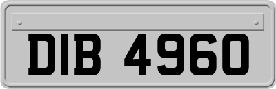 DIB4960