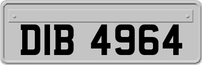 DIB4964