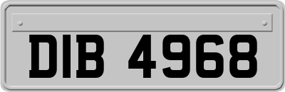 DIB4968