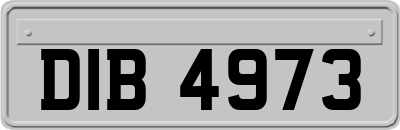 DIB4973