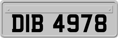 DIB4978