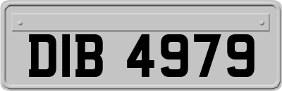 DIB4979