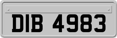 DIB4983